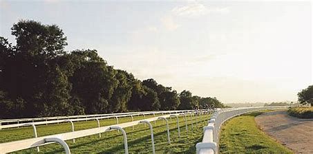 The race course